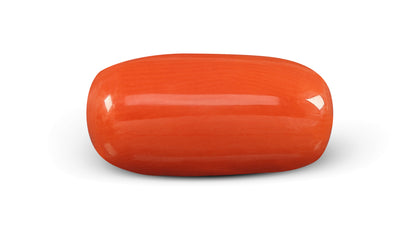 Italian Red Coral 5.03 Carats / 5.53 Ratti