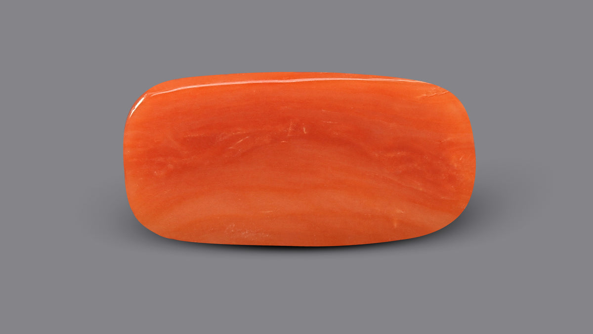 Italian Red Coral 5.60 Carats / 6.15 Ratti