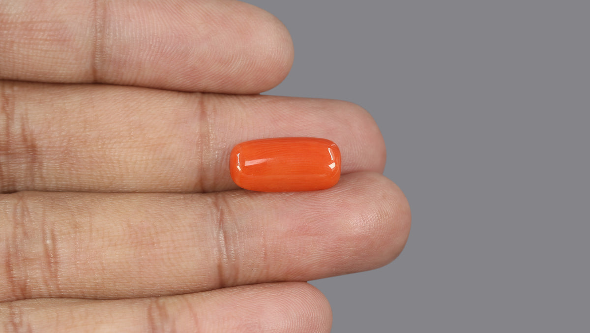 Italian Red Coral 5.60 Carats / 6.15 Ratti