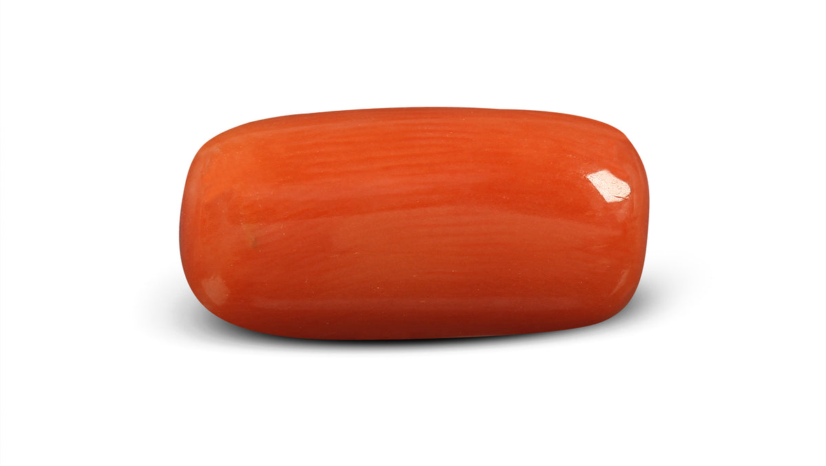 Italian Red Coral 5.60 Carats / 6.15 Ratti