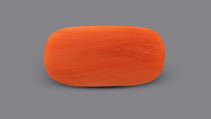 Italian Red Coral 5.73 Carats / 6.3 Ratti