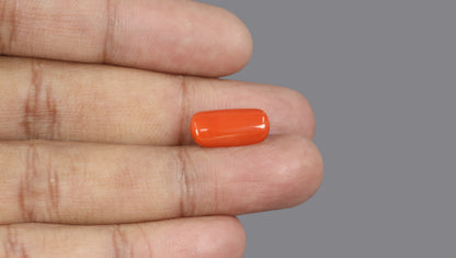 Italian Red Coral 5.73 Carats / 6.3 Ratti