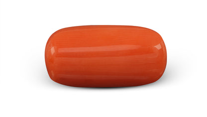 Italian Red Coral 5.73 Carats / 6.3 Ratti