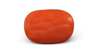Italian Red Coral 5.87 Carats / 6.45 Ratti