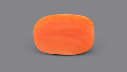 Italian Red Coral 5.93 Carats / 6.52 Ratti