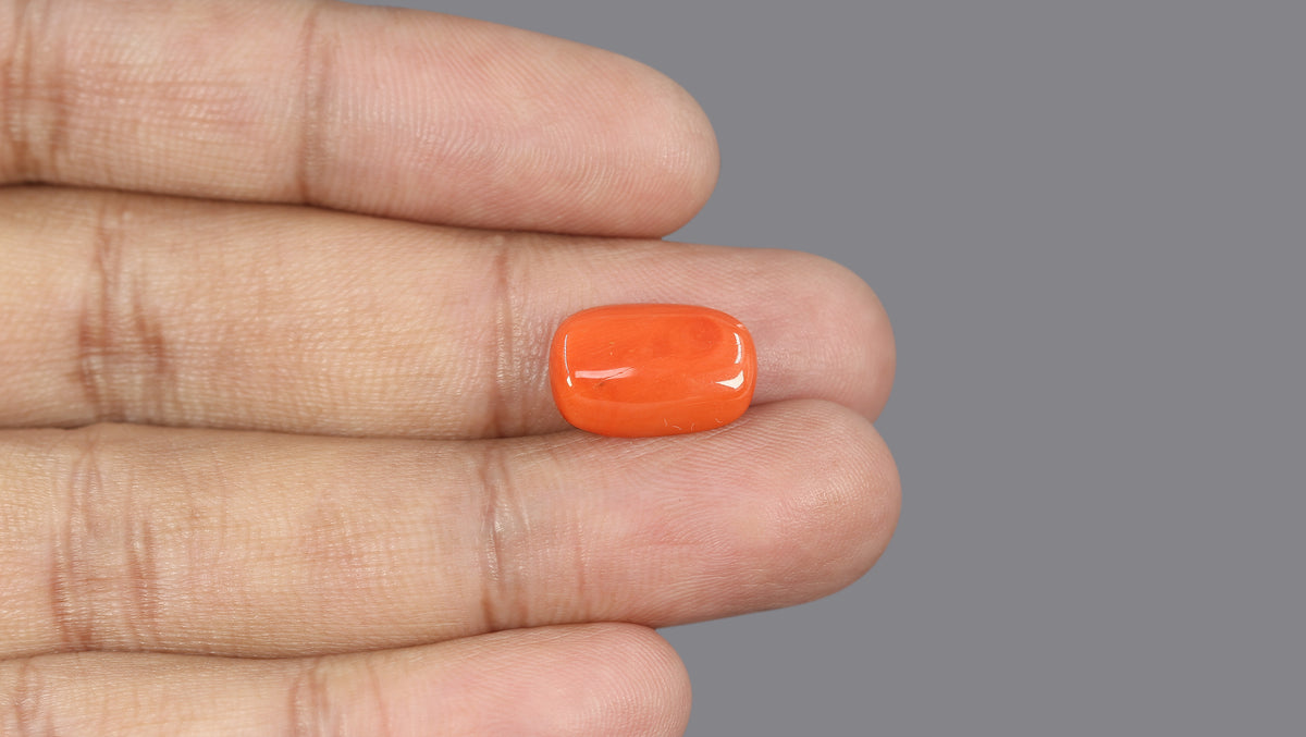 Italian Red Coral 5.93 Carats / 6.52 Ratti