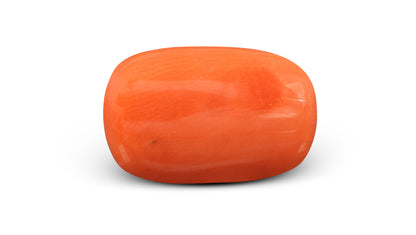 Italian Red Coral 5.93 Carats / 6.52 Ratti
