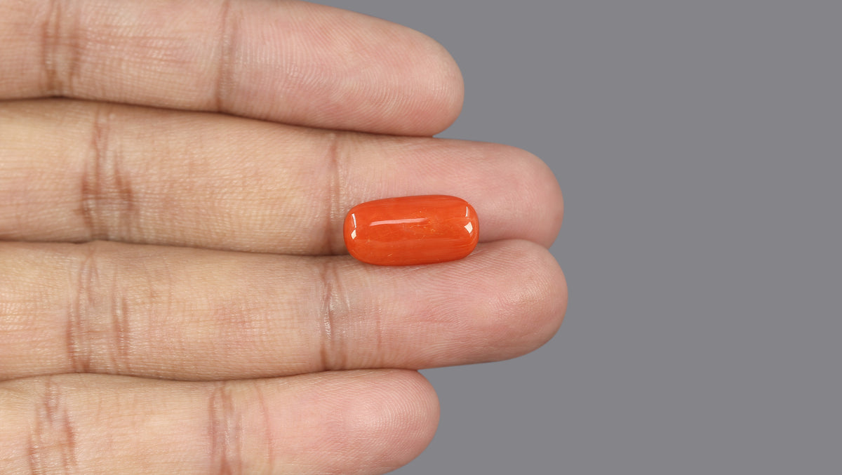 Italian Red Coral 6.01 Carats / 6.6 Ratti