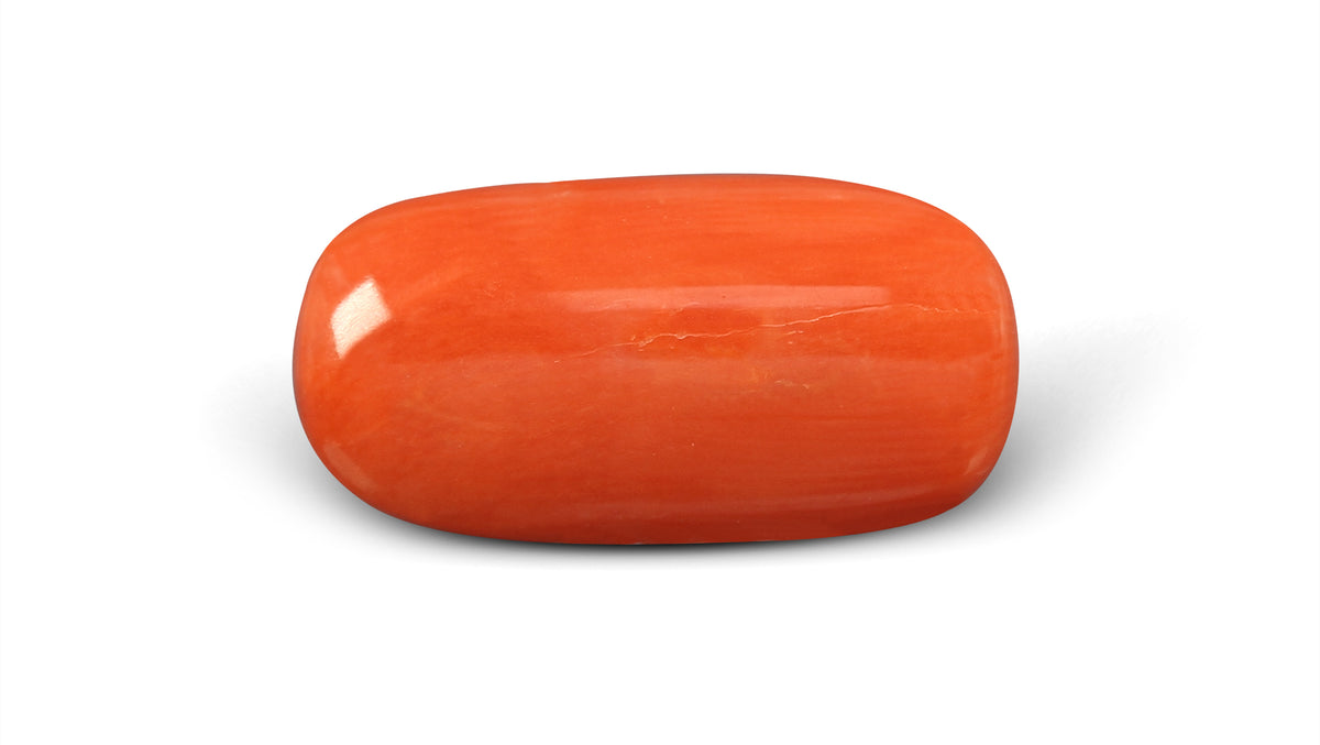 Italian Red Coral 6.01 Carats / 6.6 Ratti