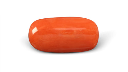 Italian Red Coral 6.01 Carats / 6.6 Ratti