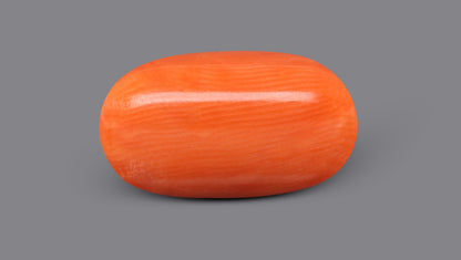 Italian Red Coral 9.48 Carats / 10.42 Ratti