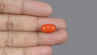 Italian Red Coral 9.48 Carats / 10.42 Ratti
