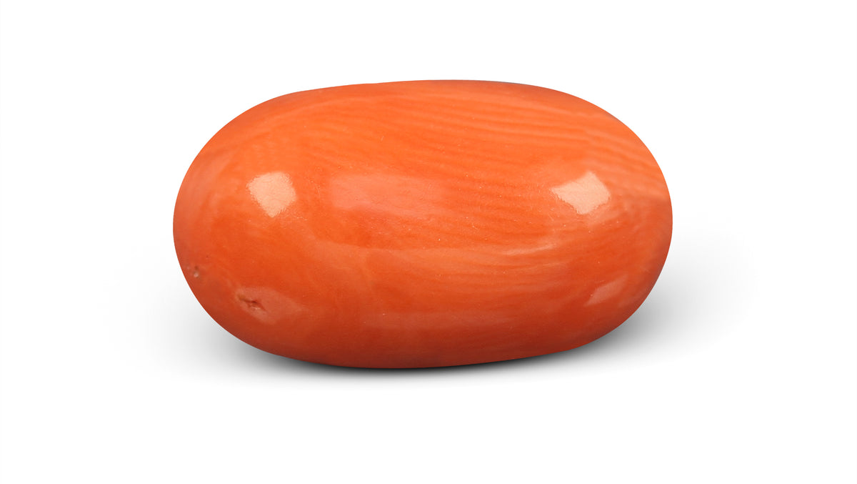 Italian Red Coral 9.48 Carats / 10.42 Ratti