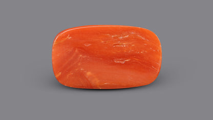 Italian Red Coral 9.54 Carats / 10.48 Ratti