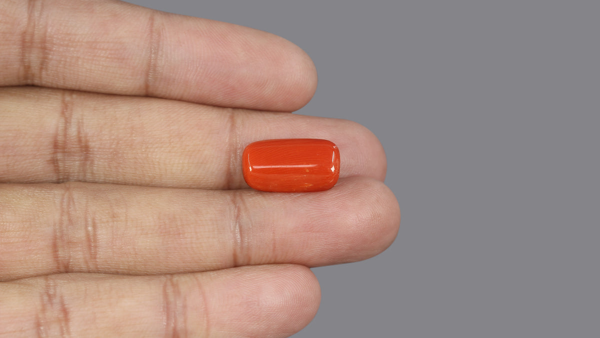 Italian Red Coral 9.54 Carats / 10.48 Ratti
