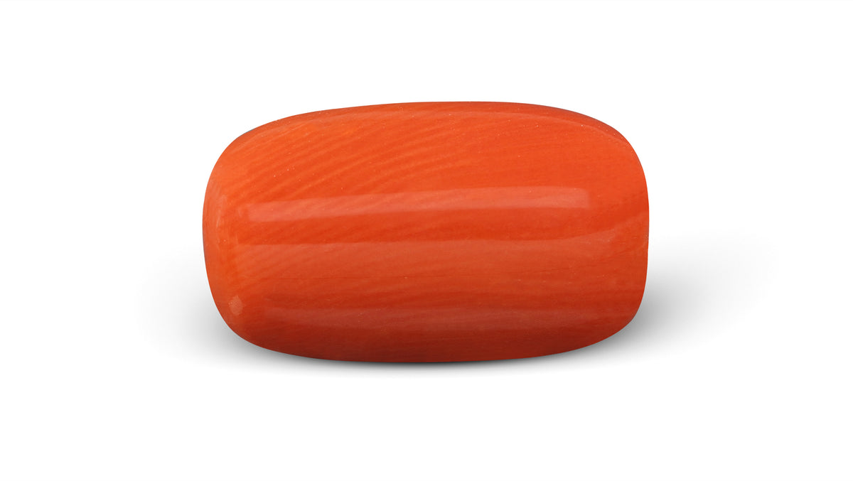Italian Red Coral 9.54 Carats / 10.48 Ratti
