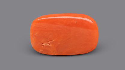 Italian Red Coral 9.70 Carats / 10.66 Ratti
