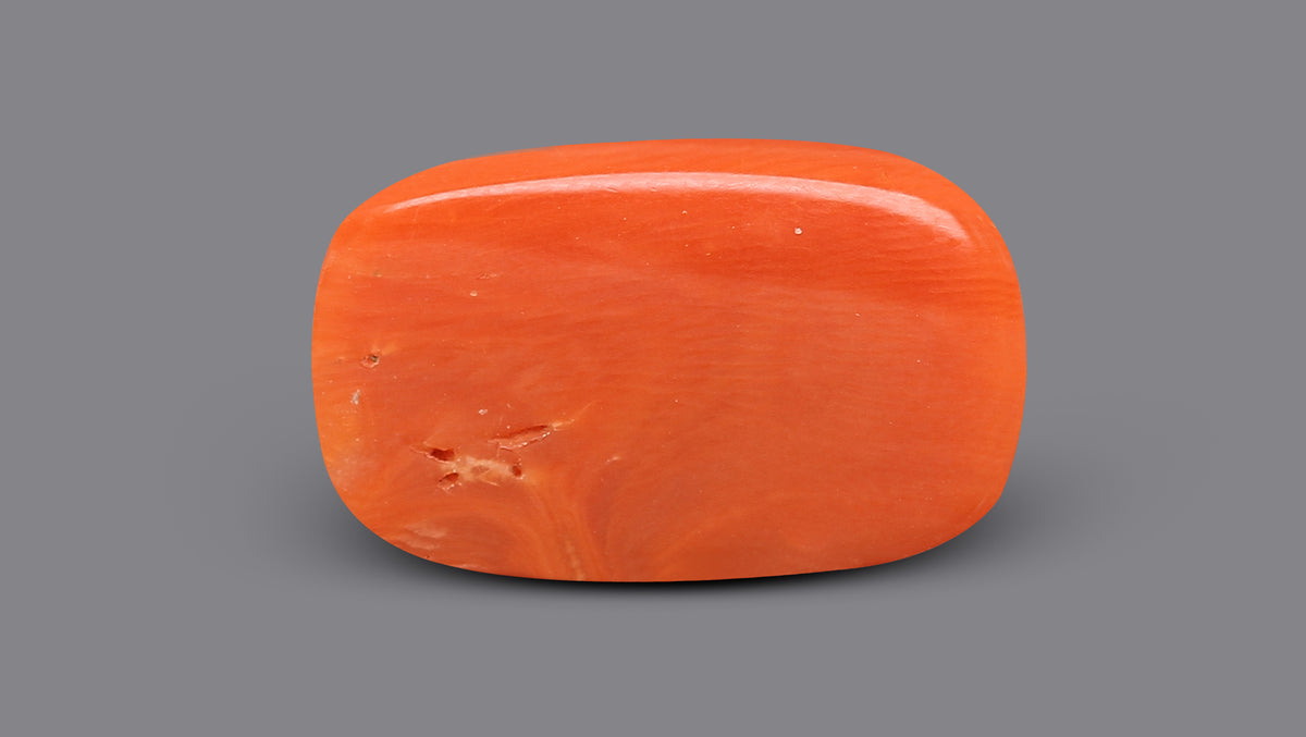 Italian Red Coral 9.70 Carats / 10.66 Ratti