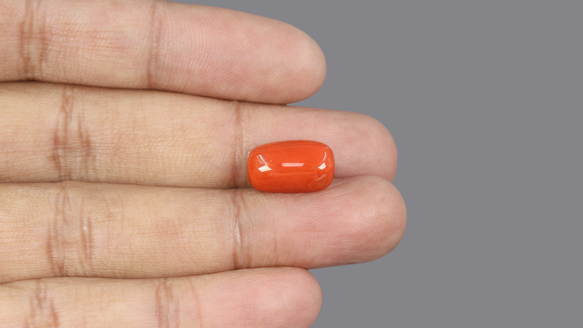 Italian Red Coral 9.70 Carats / 10.66 Ratti