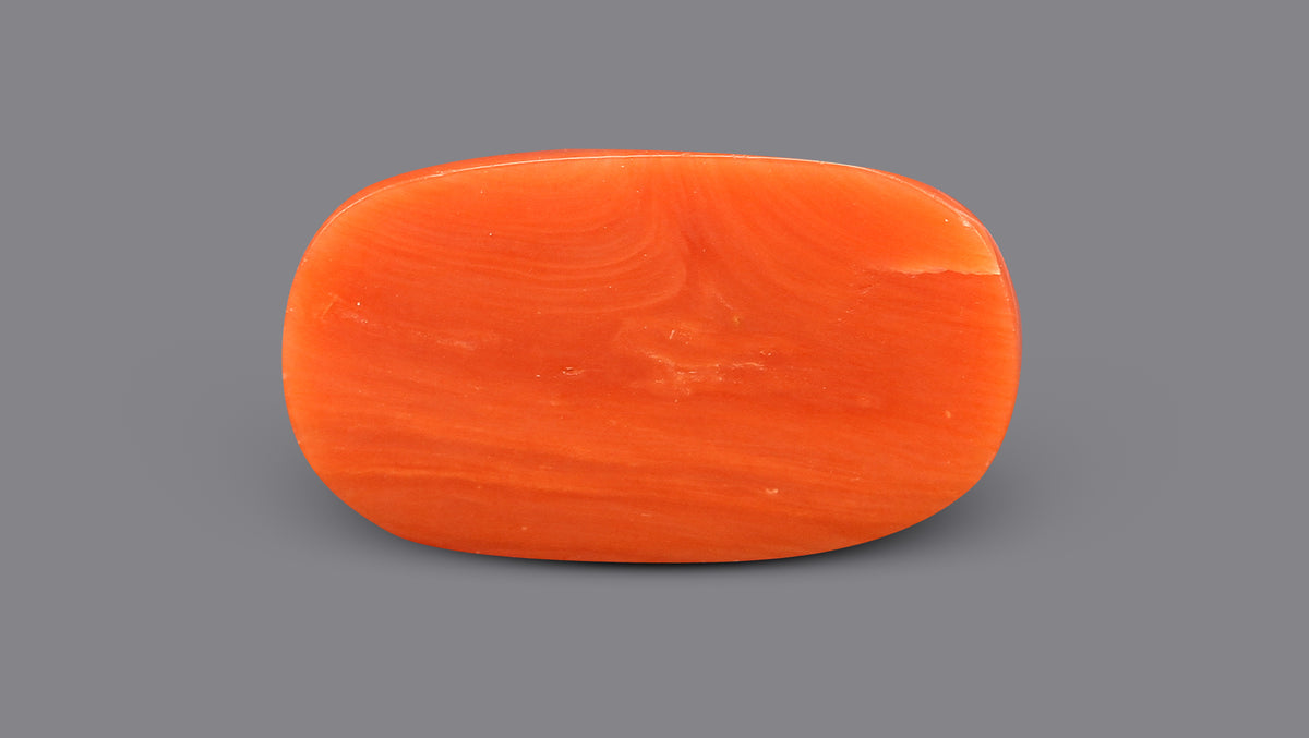 Italian Red Coral 9.77 Carats / 10.74 Ratti