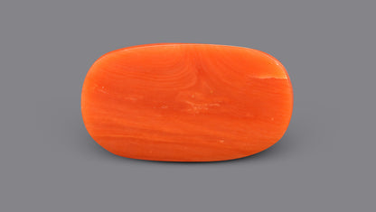 Italian Red Coral 9.77 Carats / 10.74 Ratti
