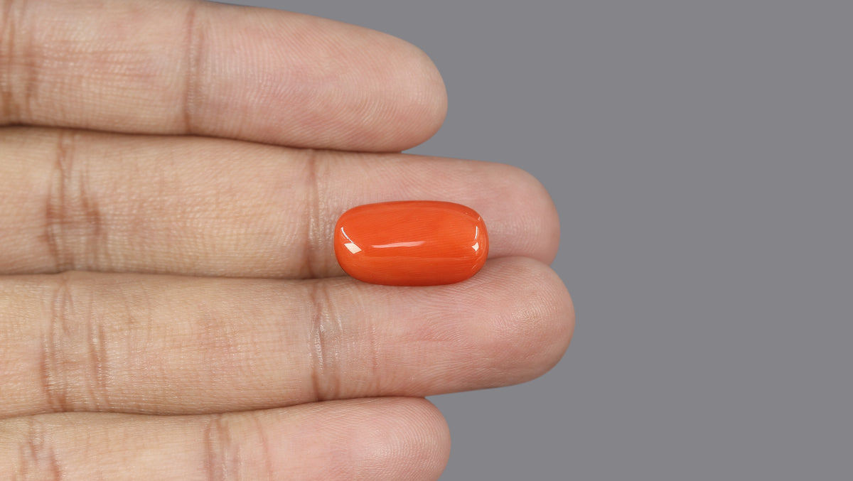 Italian Red Coral 9.77 Carats / 10.74 Ratti