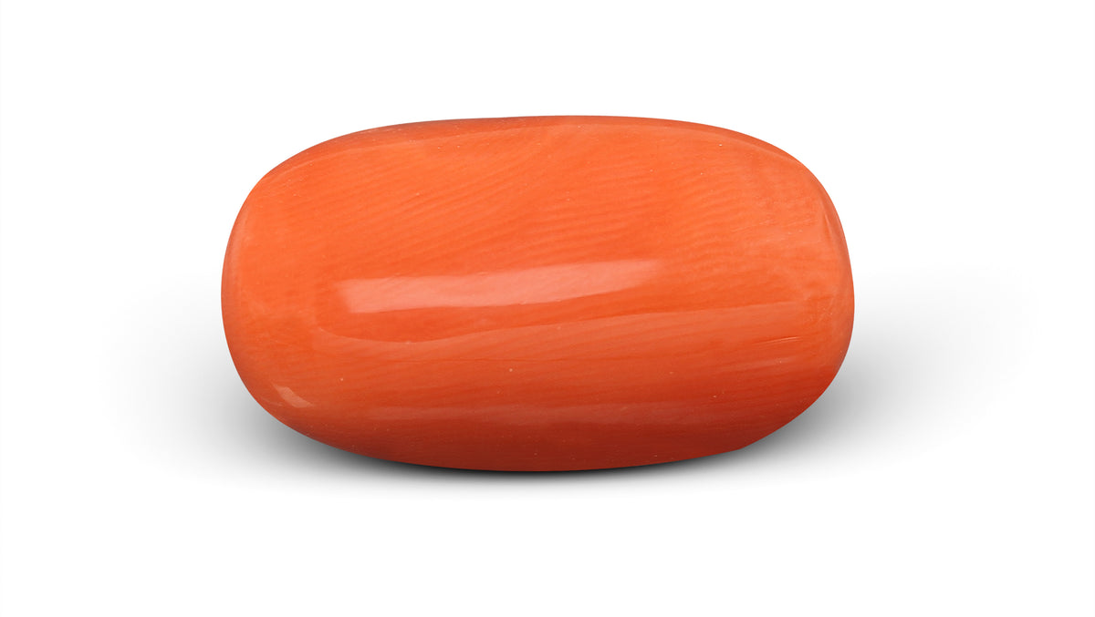 Italian Red Coral 9.77 Carats / 10.74 Ratti