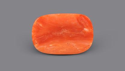 Italian Red Coral 10.04 Carats / 11.03 Ratti