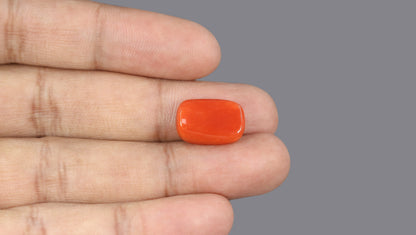 Italian Red Coral 10.04 Carats / 11.03 Ratti