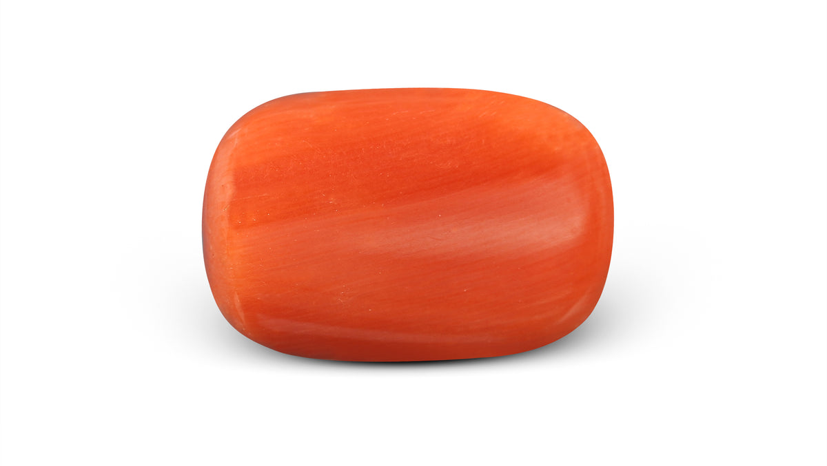 Italian Red Coral 10.04 Carats / 11.03 Ratti