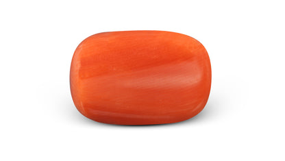 Italian Red Coral 10.04 Carats / 11.03 Ratti