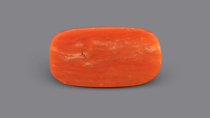 Italian Red Coral 10.20 Carats / 11.21 Ratti