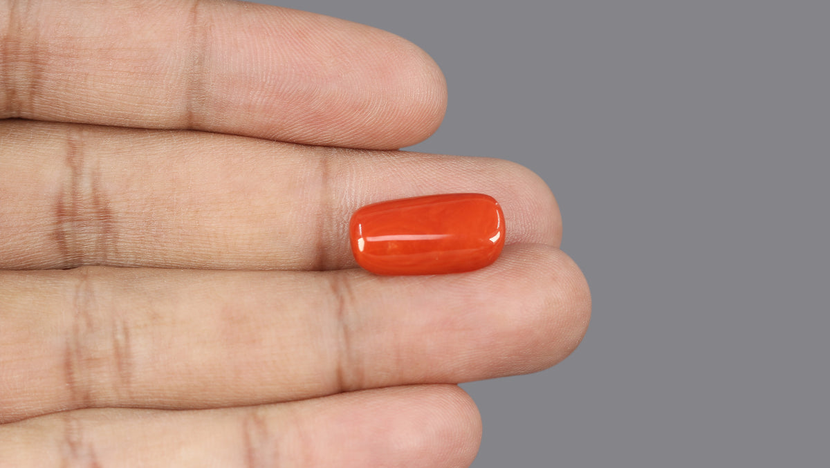 Italian Red Coral 10.20 Carats / 11.21 Ratti