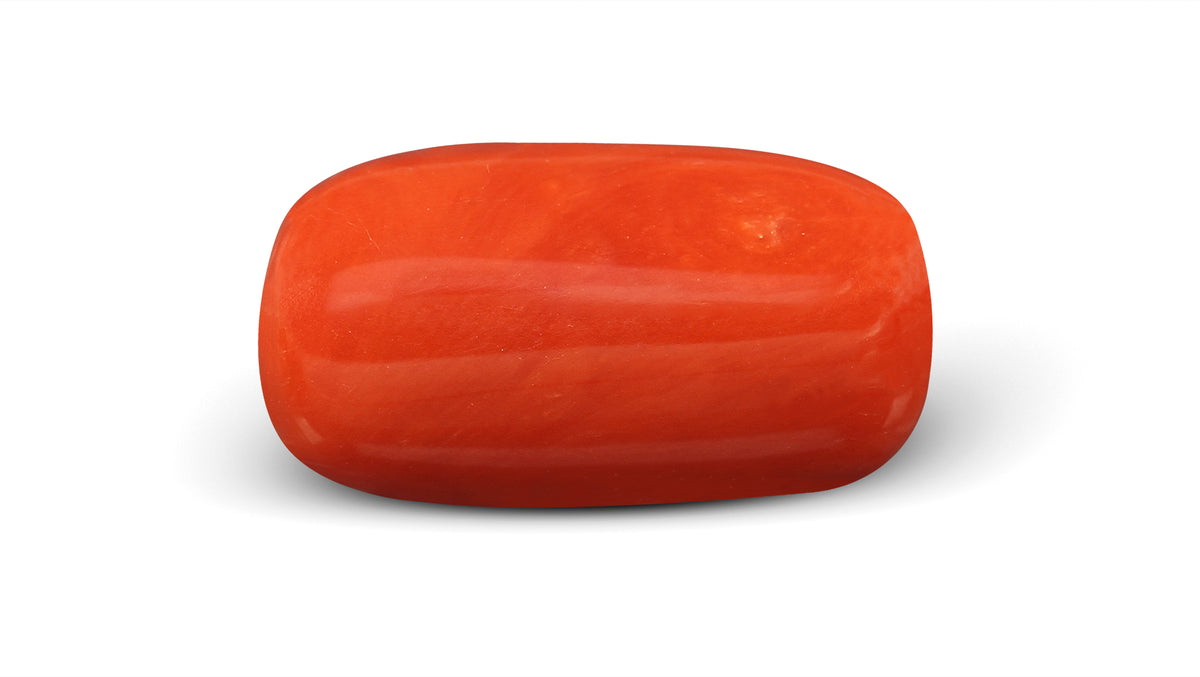 Italian Red Coral 10.20 Carats / 11.21 Ratti