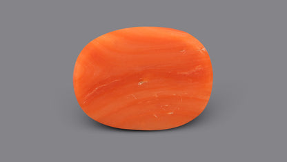 Italian Red Coral 10.52 Carats / 11.56 Ratti