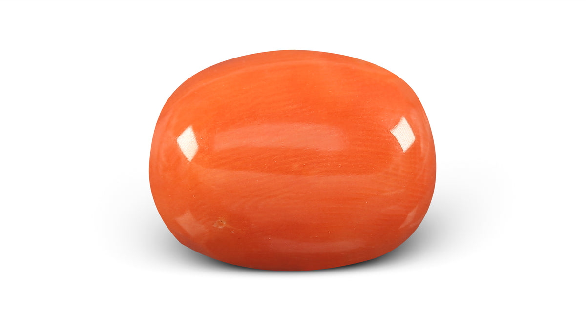 Italian Red Coral 10.52 Carats / 11.56 Ratti