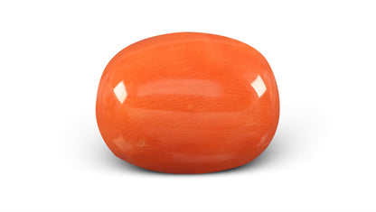 Italian Red Coral 10.52 Carats / 11.56 Ratti