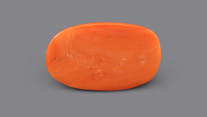 Italian Red Coral 11.61 Carats / 12.76 Ratti