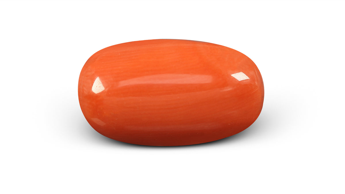 Italian Red Coral 11.61 Carats / 12.76 Ratti