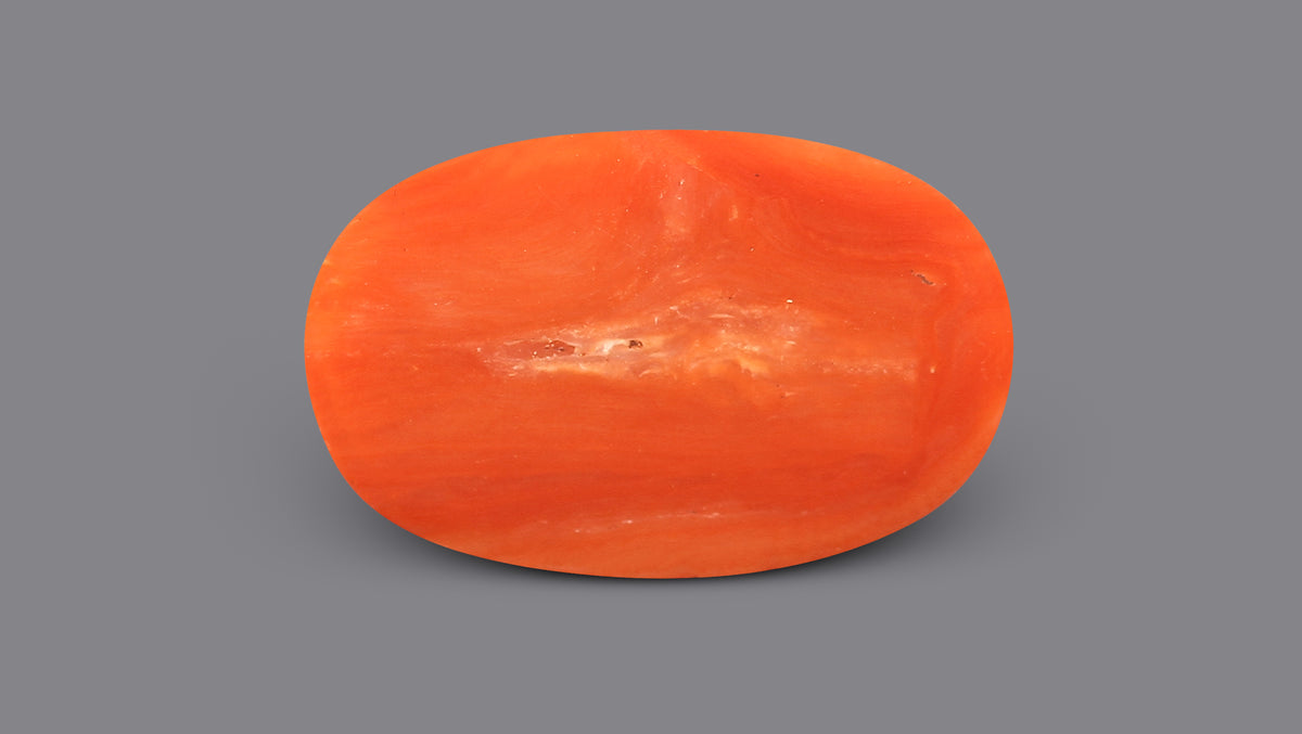 Italian Red Coral 11.61 Carats / 12.76 Ratti