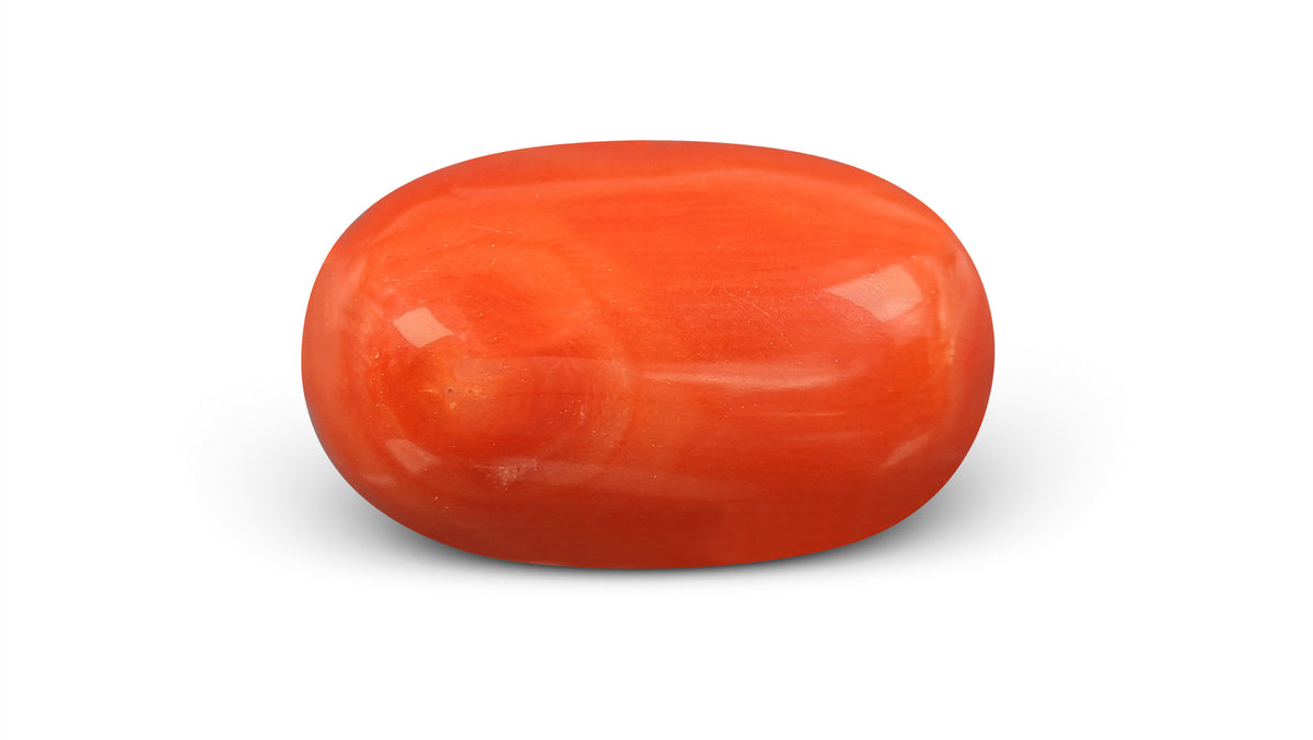 Italian Red Coral 11.61 Carats / 12.76 Ratti