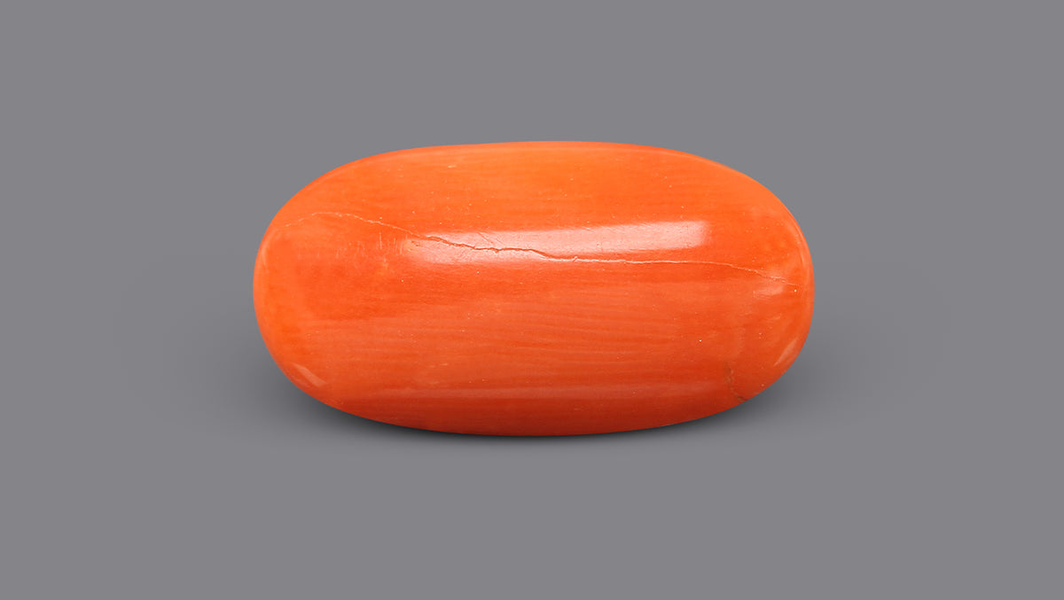Italian Red Coral 11.67 Carats / 12.82 Ratti