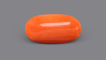 Italian Red Coral 11.67 Carats / 12.82 Ratti