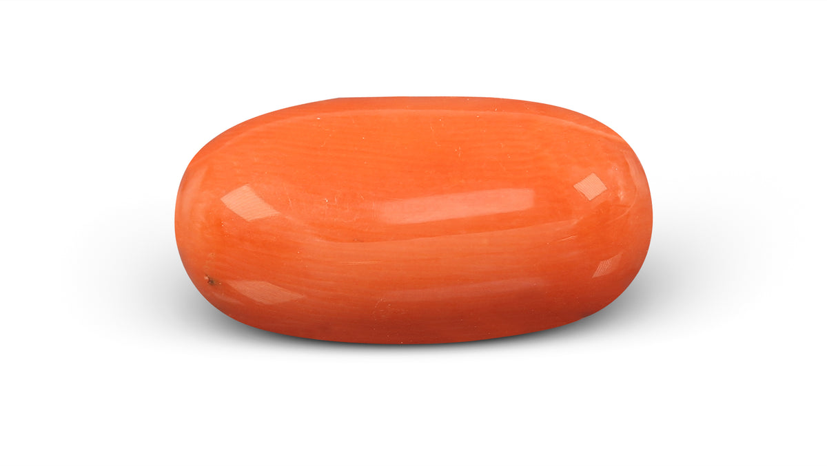 Italian Red Coral 11.67 Carats / 12.82 Ratti