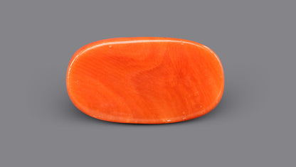 Italian Red Coral 13.27 Carats / 14.58 Ratti