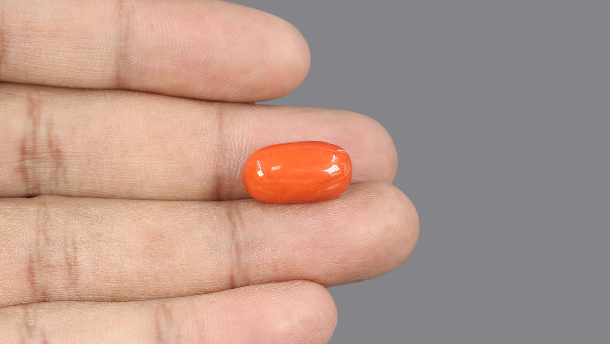Italian Red Coral 13.27 Carats / 14.58 Ratti
