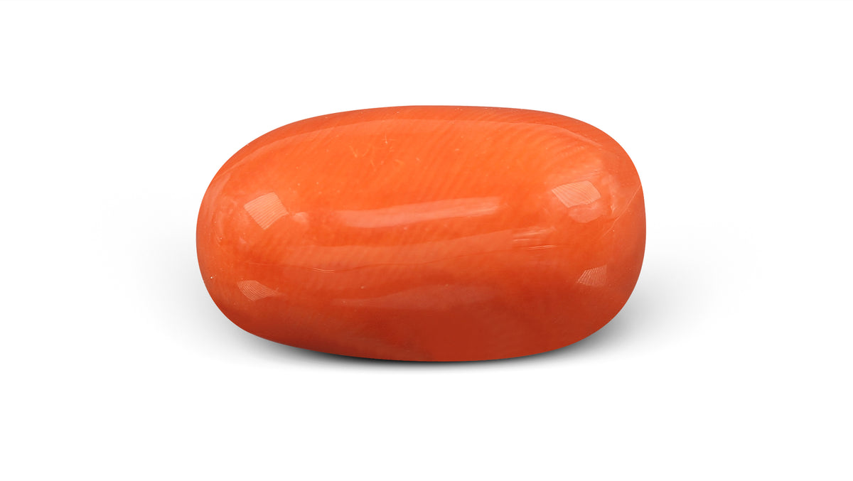 Italian Red Coral 13.27 Carats / 14.58 Ratti