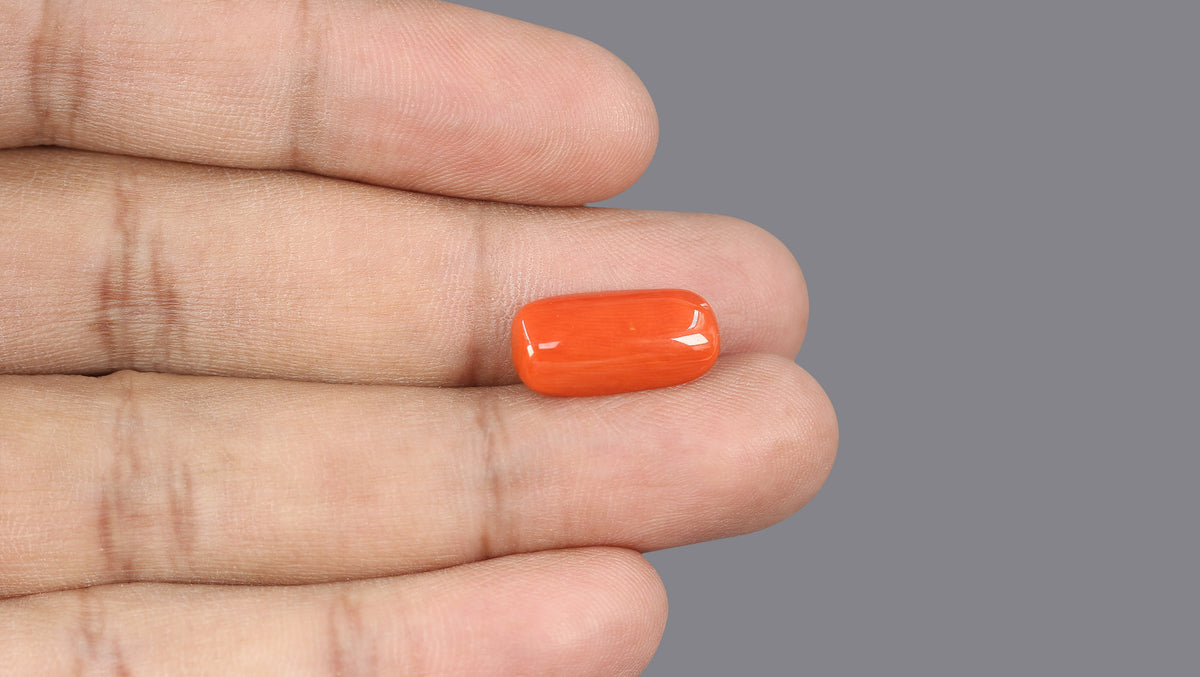Italian Red Coral (Moonga) 6.62 Carats / 7.27 Ratti