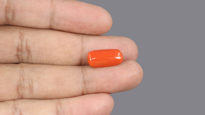 Italian Red Coral (Moonga) 6.62 Carats / 7.27 Ratti