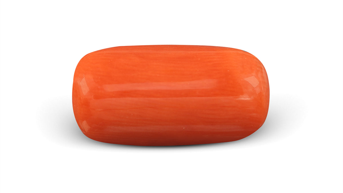 Italian Red Coral (Moonga) 6.62 Carats / 7.27 Ratti